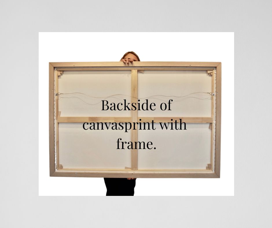 Canvas print backside ready to hang